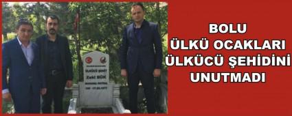 LKC EHD DUALARLA ANDILAR