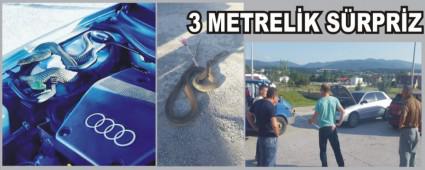 OTOMOBLDEN 3 METRE YILAN IKTI