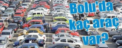 BOLU'DA KA TANE ARA VAR?