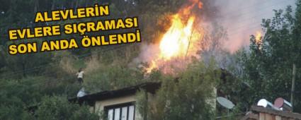 MUDURNU'DA ORMAN YANGINI