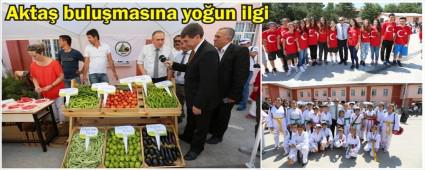 Akta Mahallesi bulumasna youn ilgi