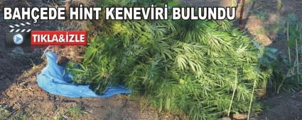 Bahede hint keneviri bulundu