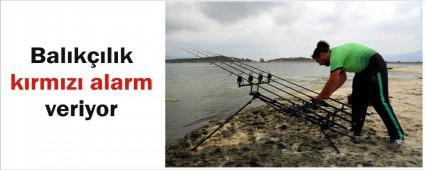 KAAKILAR BALIKILII LDRYOR