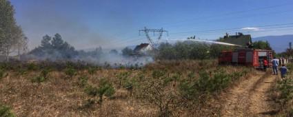 FDANLIK YANGINI KORKUTTU