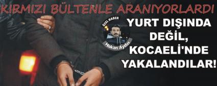 YURT DIINDA DEL,KOCAEL'NDE YAKALANDILAR!