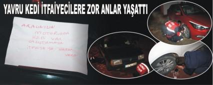 YAVRU KED TFAYECLERE ZOR ANLAR YAATTI