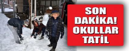 OKULLAR TATL