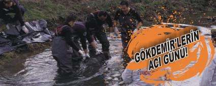 Erkek cesedinin kimlii belli oldu