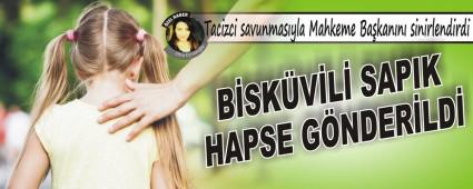 Tacizci savunmasyla Mahkeme Bakann sinirlendirdi