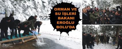 ORMAN VE SU LER BAKANI EROLU BOLU'DA