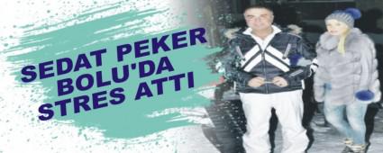SEDAT PEKER BOLU'DA STRES ATTI