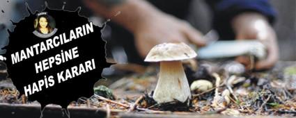 MANTARCILARIN HEPSNE HAPS KARARI