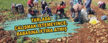 TARLADA ALIMAK STEMEYNCE, BABASINA FTRA ATMI