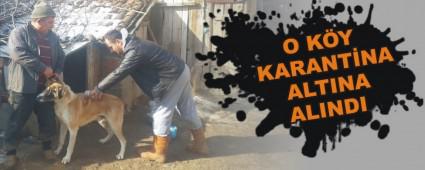 O KY KARANTNA ALTINA ALINDI