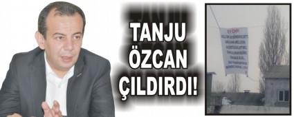 TANJU ZCAN ILDIRDI!
