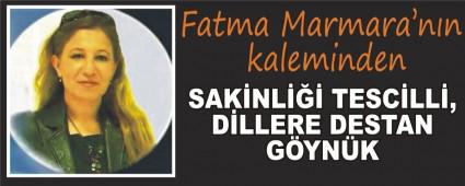 SAKNL TESCLL, DLLERE DESTAN GYNK