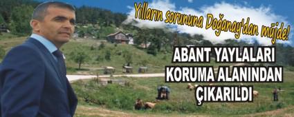 Yllarn sorununa Doanay'dan mjde!