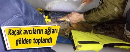 Kaak avclarn alar glden topland