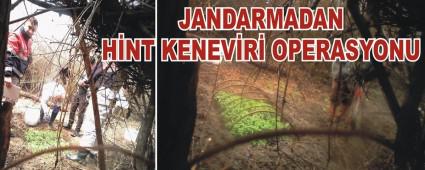 JANDARMADAN HNT KENEVR OPERASYONU