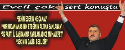 Evcil ok sert konutu