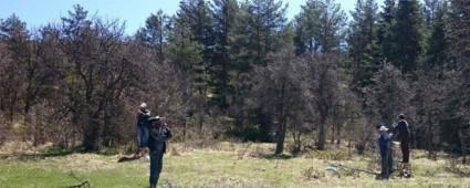 SEBEN'DE AHLAT AALARI ARMUTA DNYOR