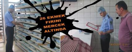 26 EKMEK FIRINI MERCEK ALTINDA