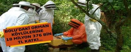 BOLU'DAK ORMAN KYLLERNE 18 MLYON 376 BN TL KATKI