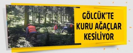 GLCK'TE KURU AALAR KESLYOR