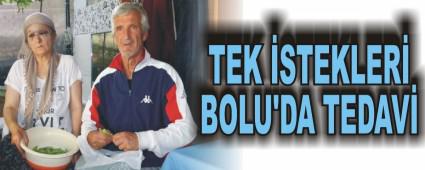 TEK STEKLER BOLU'DA TEDAV