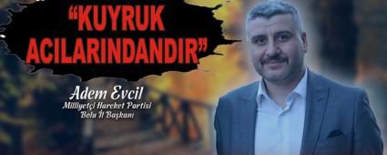 KUYRUK ACILARINDANDIR