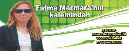 AILIK, DENEYM ZENGNL ve SEVG DR  2. ve son Blm