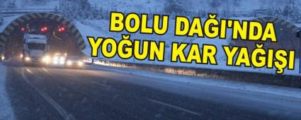 BOLU DAI'NDA YOUN KAR YAII