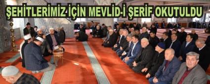 EHTLERMZ N MEVLD- ERF OKUTULDU