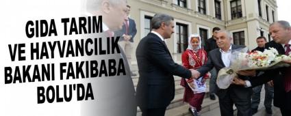 GIDA TARIM VE HAYVANCILIK BAKANI FAKIBABA BOLU'DA