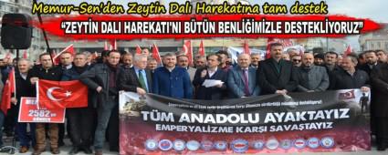 ZEYTN DALI HAREKATI'NI BTN BENLMZLE DESTEKLYORUZ