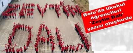 Bolu'da ilkokul rencileri 'Zeytin Dal' yazs oluturdu