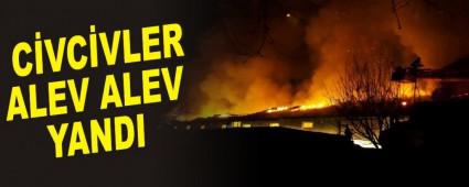 CVCVLER ALEV ALEV YANDI