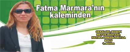 SERALARI, BEBEK MEYVE BAHES, HATIRA ORMANLARIYLA BOLU 1. Blm