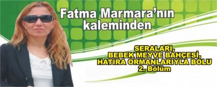 SERALARI, BEBEK MEYVE BAHES, HATIRA ORMANLARIYLA BOLU  2. Blm