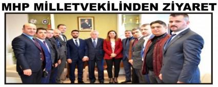 MHP MLLETVEKLNDEN ZYARET