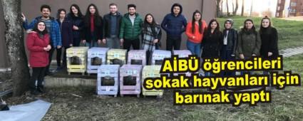 AB rencileri sokak hayvanlar iin barnak yapt