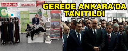 Gerede Ankara'da tantld