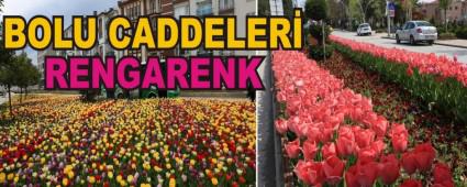 BOLU CADDELER RENGARENK