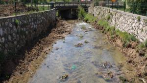 Mengen\'de dereler temizleniyor