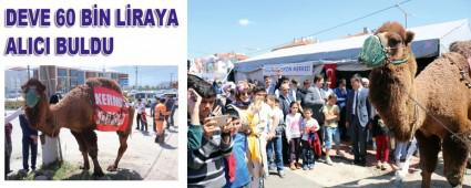 DEVE 60 BN LRAYA ALICI BULDU