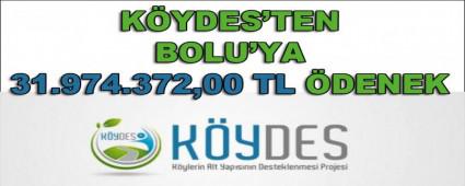 KYDES\'TEN BOLU\'YA 31.974.372,00 TL DENEK