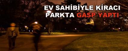 EV SAHBYLE KRACI PARKTA GASP YAPTI