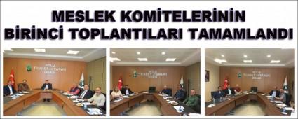 MESLEK KOMTELERNN BRNC TOPLANTILARI TAMAMLANDI