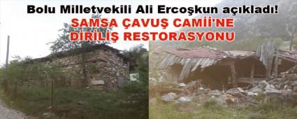 SAMSA AVU CAM\'NE DRL RESTORASYONU