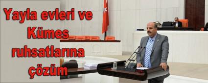 Yayla evleri ve Kmes ruhsatlarna zm